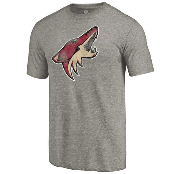 Men's Phoenix Coyotes Distressed Team Logo Tri Blend T-Shirt Ash FengYun,We sell and wholesale Men's Phoenix Coyotes Distressed Team Logo Tri Blend T-Shirt Ash FengYun on line form chian!